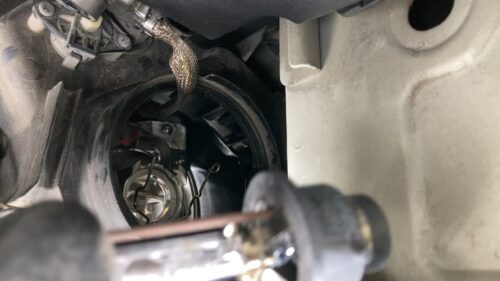 전구분리후모습