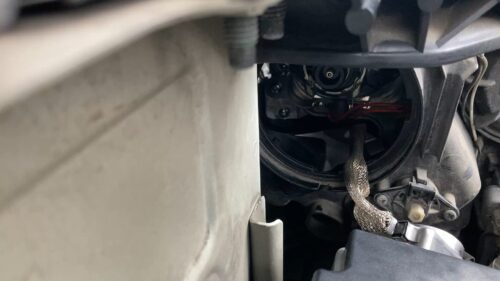 qm5제논램프장착